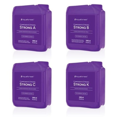 Components Strong Commercial 4x2 LT